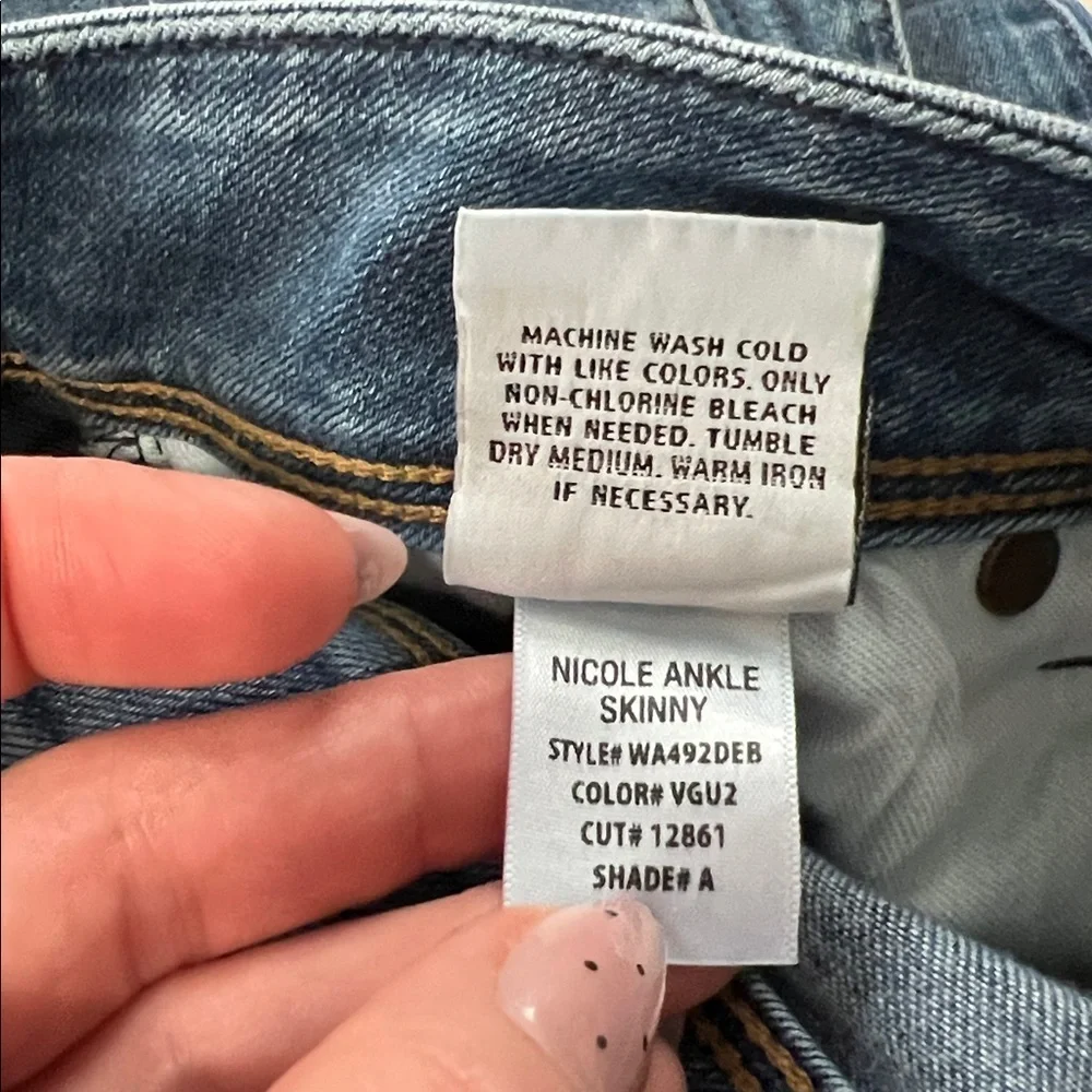 Hudson Nicole Ankle Skinny Jeans